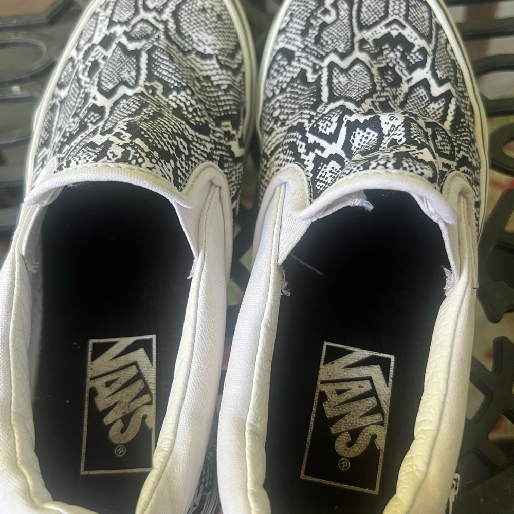 Vans Python Slides - Picture 4 of 5